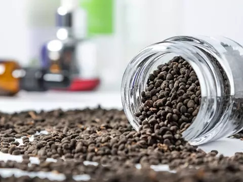 Bakuchiol: La respuesta de la naturaleza para la innovación en el cuidado avanzado de la piel y la salud.