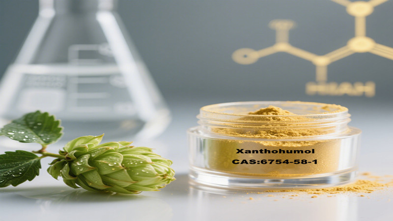 Xantohumol premium (CAS 6754-58-1) de extracto de lúpulo: flavonoide bioactivo de alta pureza para innovaciones en salud.