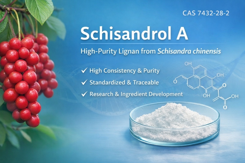 Schisandrol A (CAS 7432-28-2): un lignano de alta pureza de Schisandra chinensis para investigación y desarrollo de ingredientes.