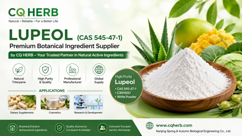 CQ HERB Proveedor y fabricante de lupeol | Lupeol de alta pureza CAS 545-47-1