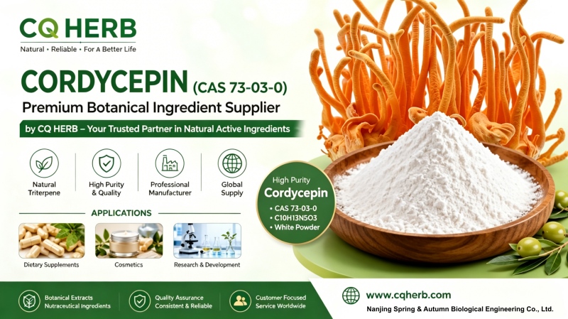CQ HERB Cordicepina 98% Proveedor y fabricante | Cordicepina CAS 73-03-0