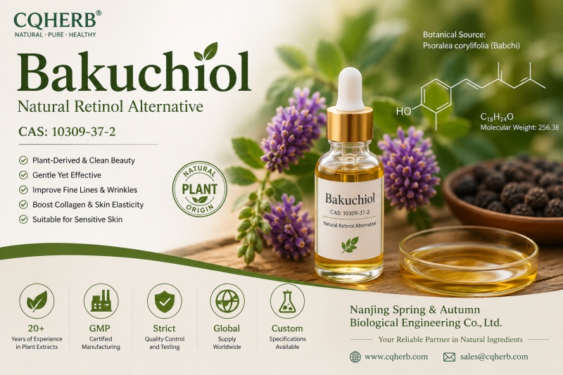 Bakuchiol (CAS 10309-37-2): The Ultimate Guide to Benefits, Applications, Retinol Comparison & Buying Guide (2026)