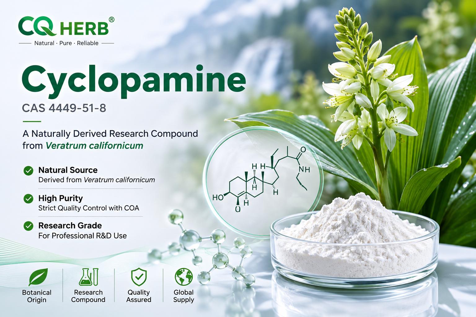 Ciclopamina (CAS 4449-51-8): Guía de investigación, información química, fuente botánica y antecedentes de la vía metabólica Hedgehog.