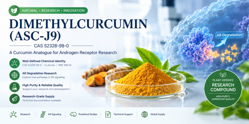 Dimetilcurcumina (ASC-J9) CAS 52328-98-0: Propiedades químicas, investigación sobre el receptor de andrógenos, aplicaciones y guía de compra.